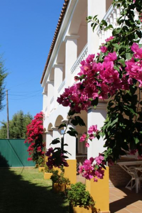 Apartamentos Bolonia Paraiso